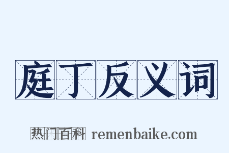 庭丁反义词是什么意思的图片